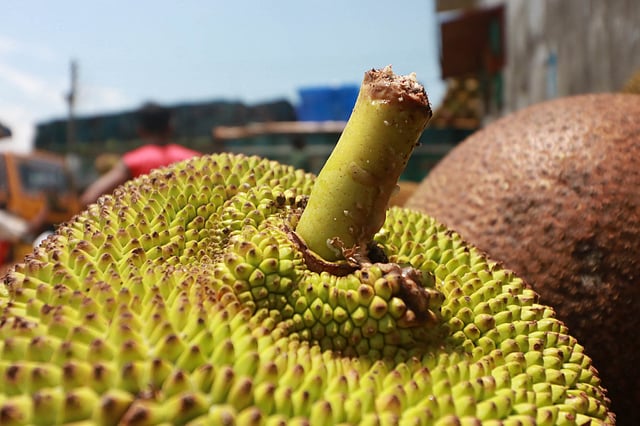 চলছে পাইকারি ও খুচরা বেচাকেনা