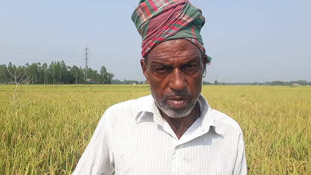 নিজের ধান খেতে আবুল হোসেন। ছবি: আসাদুজ্জামান