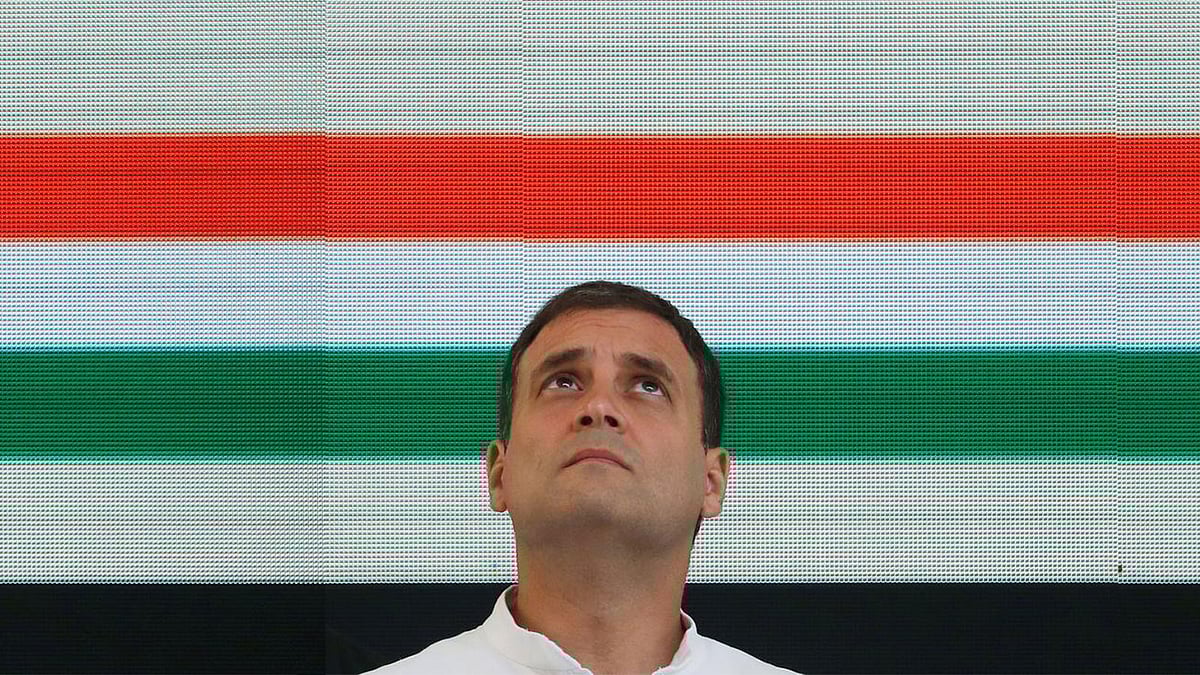 কংগ্রেস সভাপতি রাহুল গান্ধী। ছবি: রয়টার্স