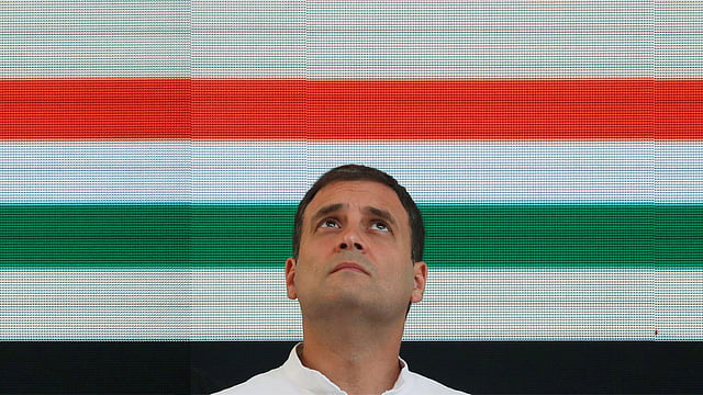 কংগ্রেস সভাপতি রাহুল গান্ধী। ছবি: রয়টার্স