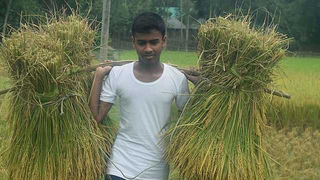 মায়ের একার আয়ে চলে না সংসার। তাই মারুফ কখনো হয় দিনমজুর, কখনো রাজমিস্ত্রির সহকারী। ছবি: প্রথম আলো