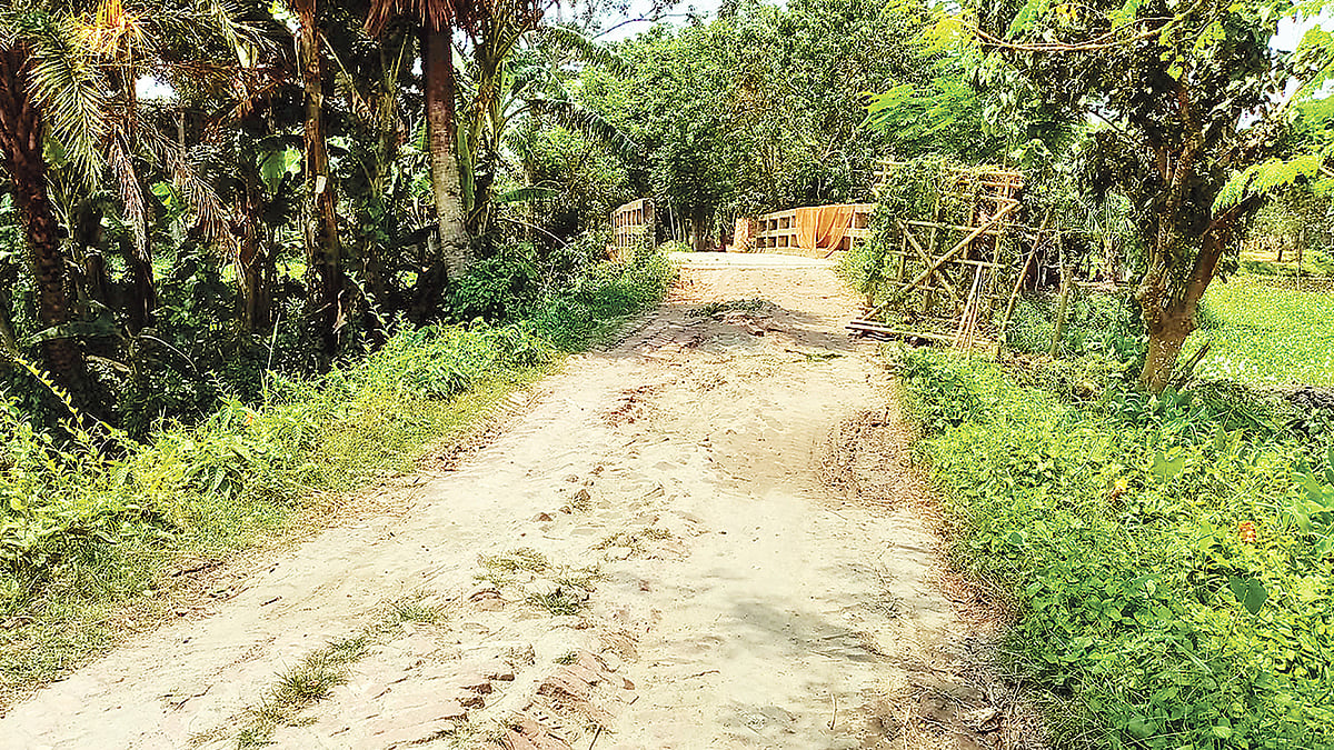 সংস্কারের অভাবে সড়কটি চলাচলের অনুপযোগী হয়ে পড়েছে। ছবি: প্রথম আলো