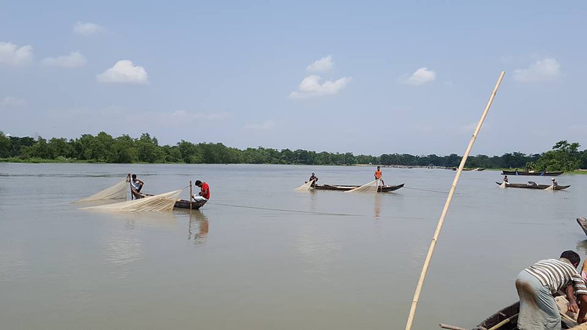 হালদা নদী থেকে ডিম সংগ্রহ করা হচ্ছে।