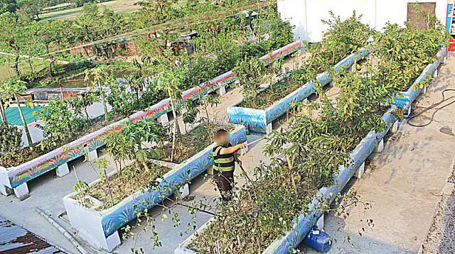 চট্টগ্রামের একটি ছাদবাগান। ছবি: প্রথম আলো