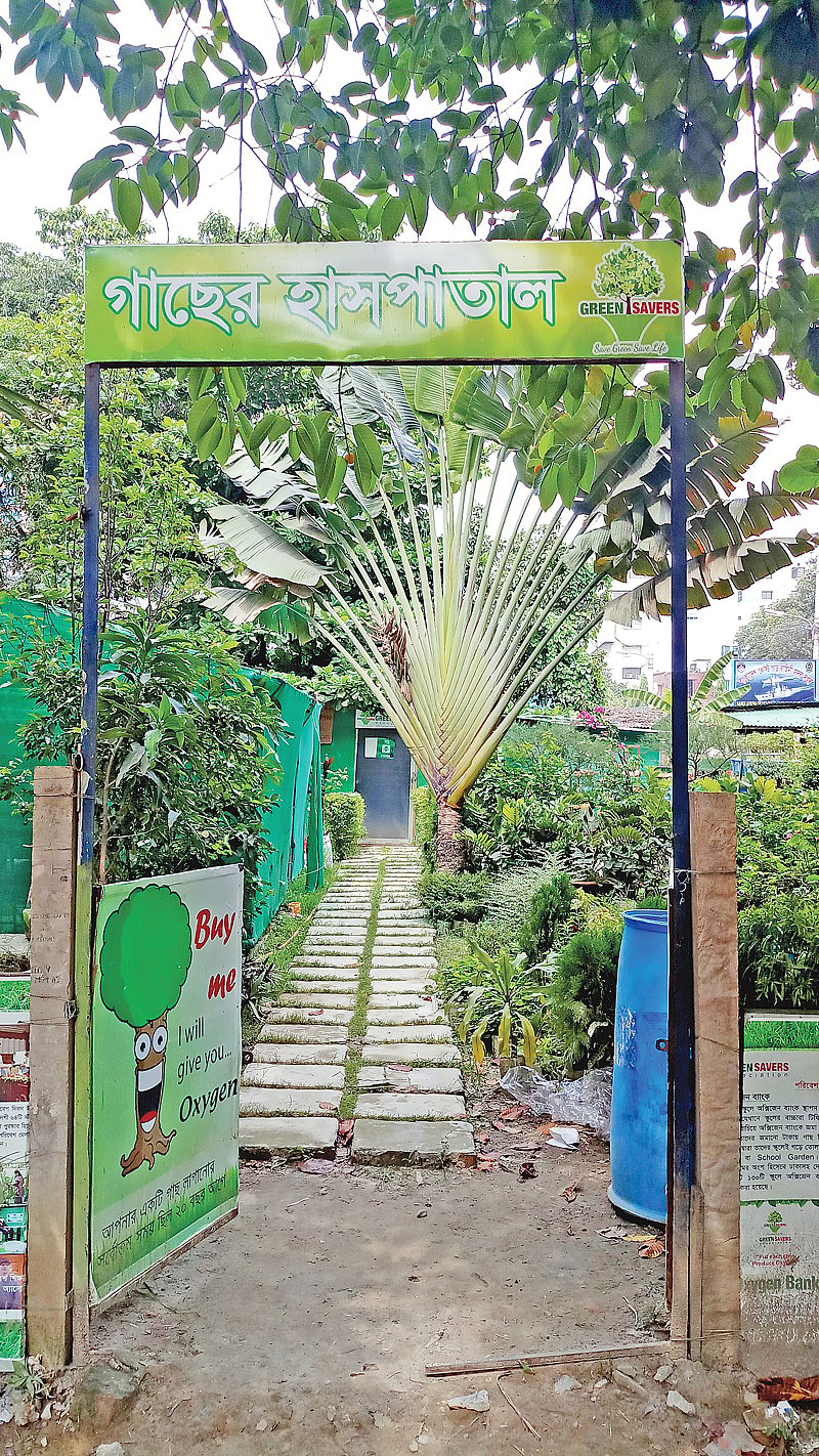 আগারগাঁওয়ে এই গাছের হাসপাতালেই থাকবে জমা রাখা গাছগুলো।
