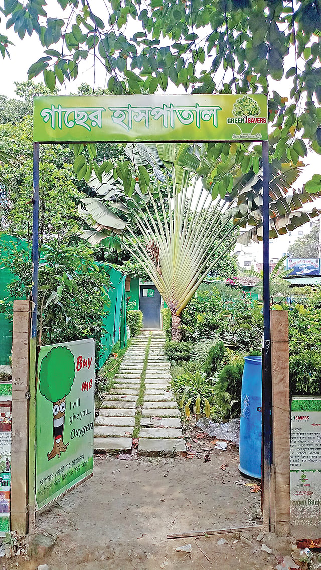 আগারগাঁওয়ে এই গাছের হাসপাতালেই থাকবে জমা রাখা গাছগুলো।