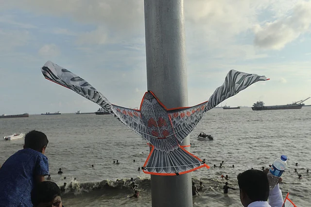 প্লাস্টিকের পাখিটি আটকে গেছে বিদ্যুতের খুঁটিতে। ছবি: সৌরভ দাশ