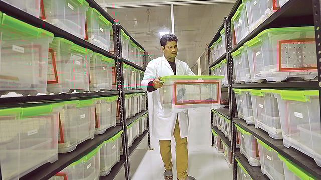 চট্টগ্রাম মেডিকেল কলেজের পুরোনো একাডেমিক ভবনে সাপের প্রতিপালন কক্ষ। সম্প্রতি তোলা ছবি।  সৌরভ দাশ