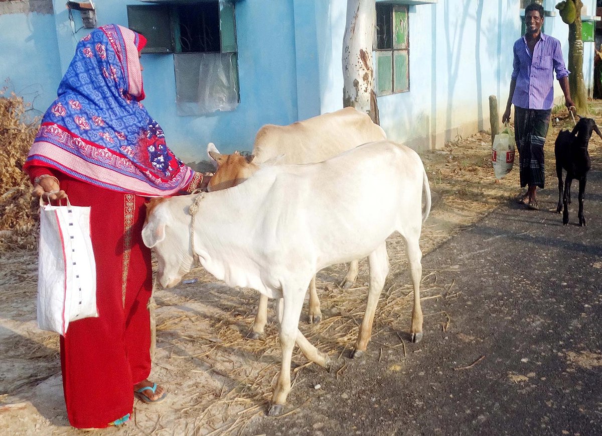 নাইওর থেকে ফিরছেন দম্পতি