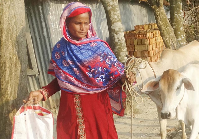 গরুর দড়ি হাতে গৃহিণী