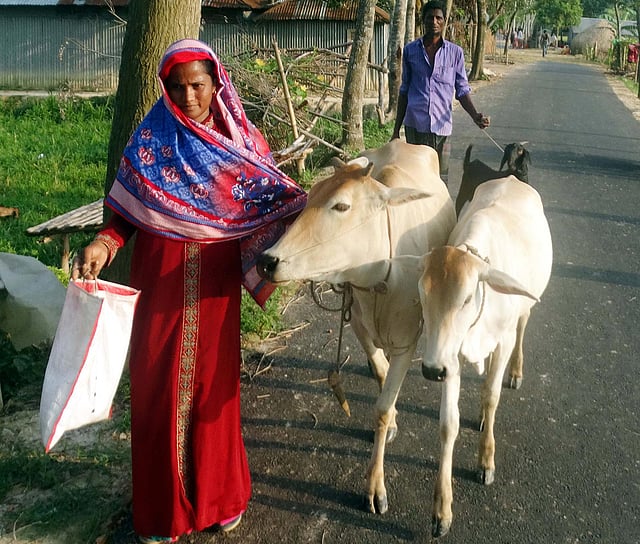 অনেকটা পথ হেঁটে আসেন তাঁরা