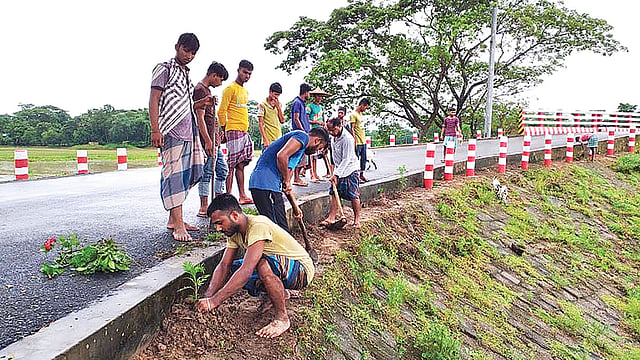 পরিষ্কার-পরিচ্ছন্ন করে ফুলের চারা রোপণ করেন তরুণেরা। গতকাল কুলাউড়া উপজেলার কুলাউড়া-ভূকশিমইল সড়কে।  প্রথম আলো