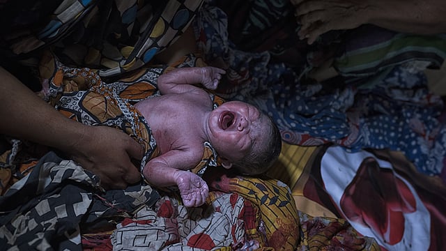 কোনো এক বেদের ঘরে এসেছে নতুন সদস্য। ছবি: সংগৃহীত