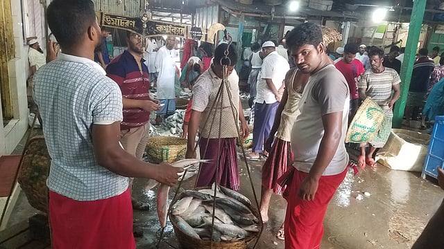 চাঁদপুর শহরের বড় স্টেশন মাছঘাটে প্রতিদিন মণকে মণ ইলিশ আসছে। ছবি: প্রথম আলো