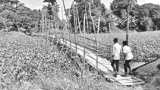নবাবগঞ্জের নয়নশ্রী ইউনিয়নের তুইতাল-বকচর গ্রামে ইছামতীর শাখা নদীতে বাঁশের সাঁকো। এই সাঁকো দিয়ে ঝুঁকি নিয়ে মানুষকে পারাপার হতে হয়।  ছবি: প্রথম আলো -2