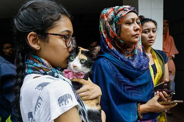 নিরাপত্তার জন্য পরিবারের অন্য সদস্যদের সঙ্গে বিড়াল ‘টুশি’কেও বাসা থেকে নিয়ে রাস্তায় নেমে এসেছে পুষ্পিতা। তাদের পাশের বাসা ১১ নম্বর হোল্ডিংয়ের শেলটেক টাওয়ার নামের একটি ১৫ তলা আবাসিক ভবনের ১১ তলায় বেলা ২ টার দিকে আগুন লেগেছিল। পরে ফায়ার সার্ভিসের ৮টি ইউনিট চেষ্টা চালিয়ে আগুন নিয়ন্ত্রণে আনে। পরিবাগ, ২০ জুন। ছবি: দীপু মালাকার