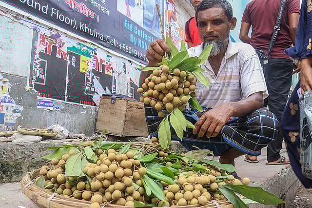 ফলটি পরিচিত আঁশফল নামে। বিভিন্ন বাড়ির গাছ থেকে ১০০ টি আঁশফল ৫০ টাকায় কিনে  খুলনা শহরে বিক্রি করছেনআব্দুস সাত্তার। পিকচার প্যালেস মোড়, খুলনা, ২০ জুন। ছবি: সাদ্দাম হোসেন
