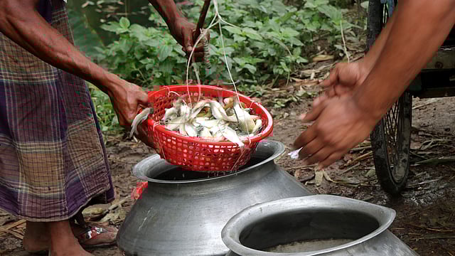 সকাল সকাল পথের ধারে বিক্রি হচ্ছে টাটকা পোনা মাছ। প্রতি কেজি মাছের দাম ২৫০ টাকা। মড়িয়া গ্রাম, গাবতলী উপজেলা, বগুড়া, ২৩ জুন। ছবি: সোয়েল রানা