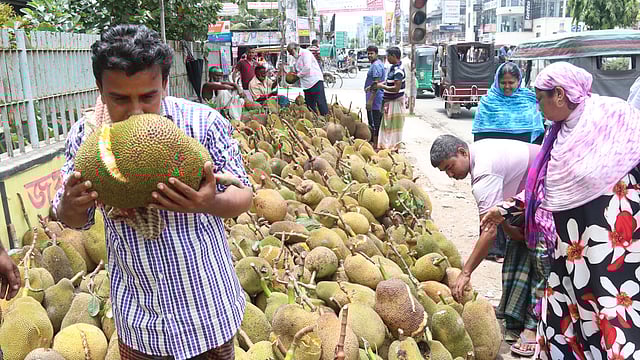 পরখ করে কাঁঠাল কিনছেন এই ক্রেতা। পাওয়ার হাউস মোড়, খুলনা, ২৩ জুন। ছবি: সাদ্দাম হোসেন