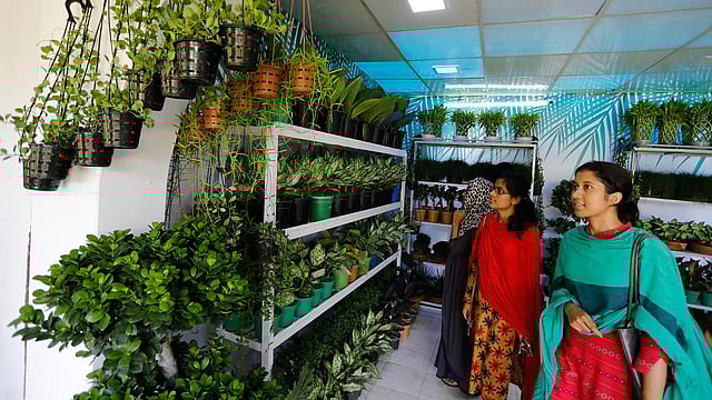 বৃক্ষমেলার একটি স্টলে গাছ দেখছেন এক দর্শনার্থী। হরেক রকমের দেশি-বিদেশি গাছ নিয়ে শুরু মাসব্যাপী এই মেলা চলবে আগামী ২০ জুলাই পর্যন্ত। শের-ই-বাংলা নগর, ঢাকা, ২৩ জুন। ছবি: দীপু মালাকার