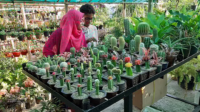 ঢাকার আগারগাঁওয়ে বাণিজ্য মেলার মাঠে চলছে জাতীয় বৃক্ষরোপণ অভিযান ও বৃক্ষমেলা ২০১৯। মেলার বিভিন্ন স্টলে শতাধিক প্রজাতির গাছ বিক্রি হচ্ছে। ঢাকা, ২৩ জুন। ছবি: সাবরিনা ইয়াছমিন