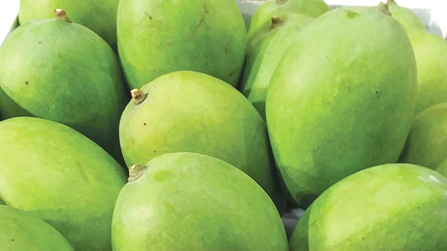 সূর্যপুরি