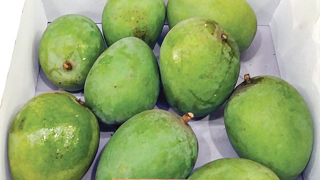 হাঁড়িভাঙা