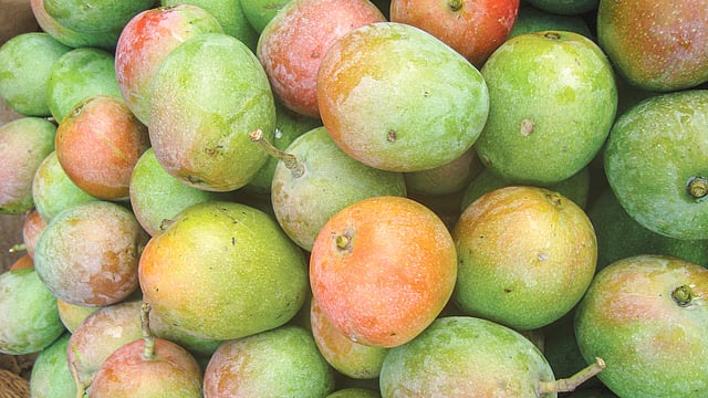 িসন্দুরি। ছবি: লেখক