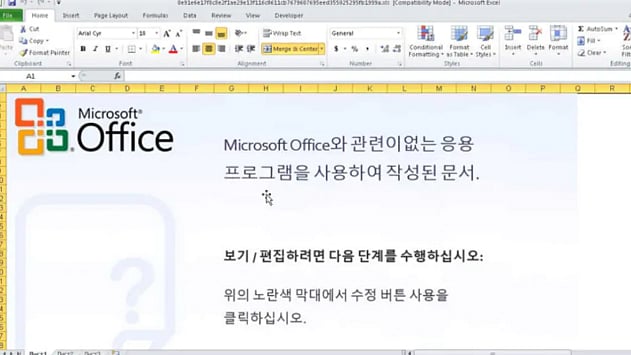 মেইলে এক্সএল ফাইল খোলার আগে সাবধান থাকার পরামর্শ দেন বিশেষজ্ঞরা।