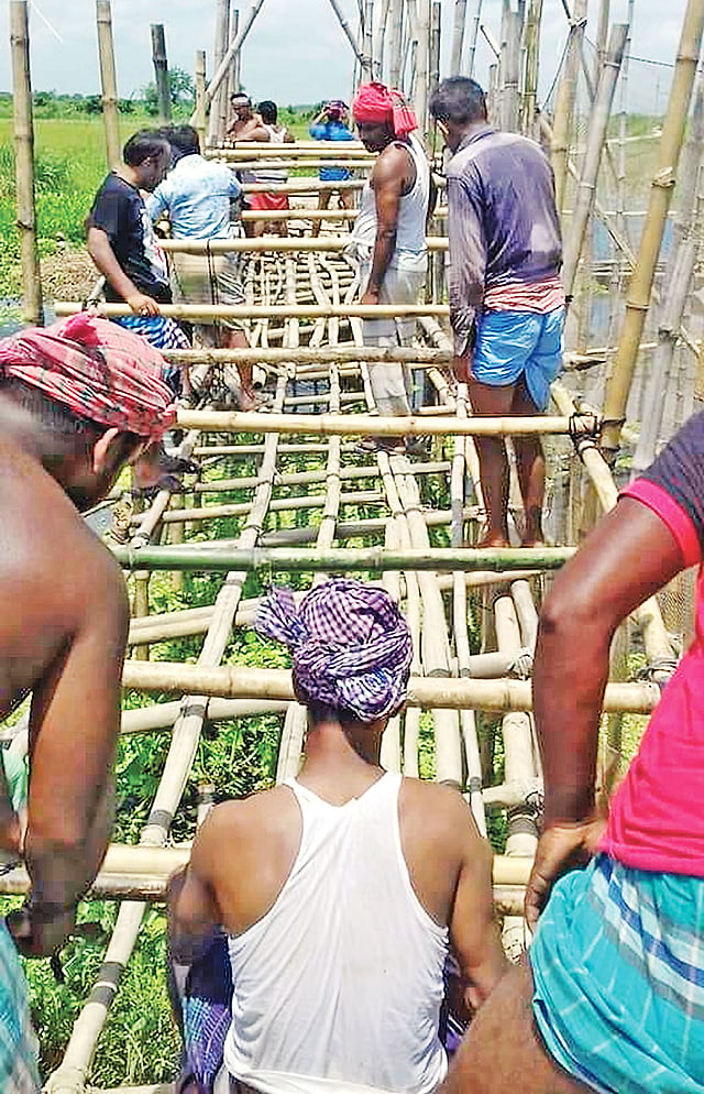 শরীয়তপুরের জাজিরা উপজেলায় একটি সাঁকো গ্রামবাসী স্বেচ্ছাশ্রমে সংস্কার করছেন। গত সোমবার বড়কান্দি ইউনিয়নের ডুবুলদিয়া এলাকায়।  ছবি: প্রথম আলো