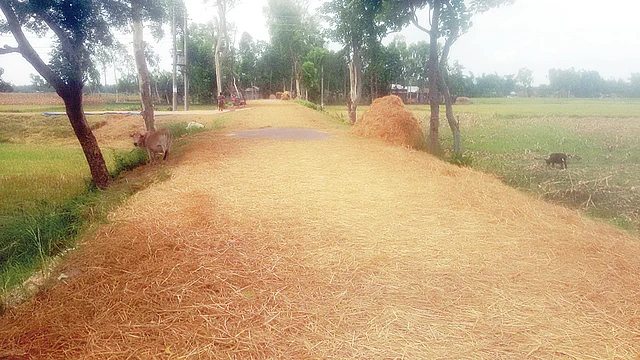 মহাসড়কে খড় শুকানো হচ্ছে। এতে যেকোনো সময় ঘটতে পারে দুর্ঘটনা। গত মঙ্গলবার পাটগ্রামের সিটেরবাড়ি এলাকায়।  প্রথম আলো