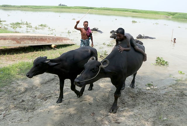 হু-র-র-র....হাট!