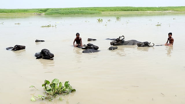 দীর্ঘ সময় পানিতে ডুবে থাকা