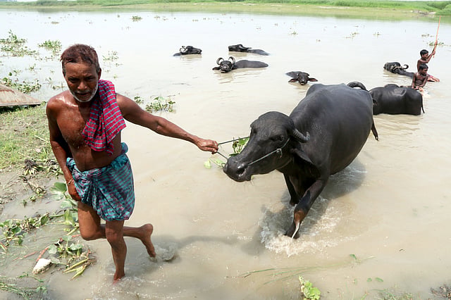 আয়, এবার ফিরে চল