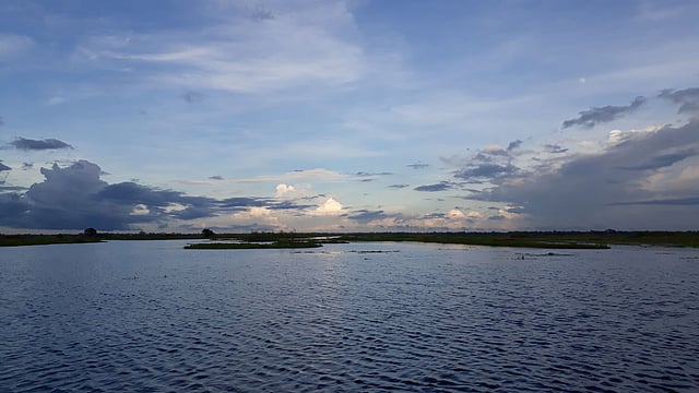 আড়িয়াল বিল। গত বছরের ছবি। ছবি: সুহাদা আফরিন