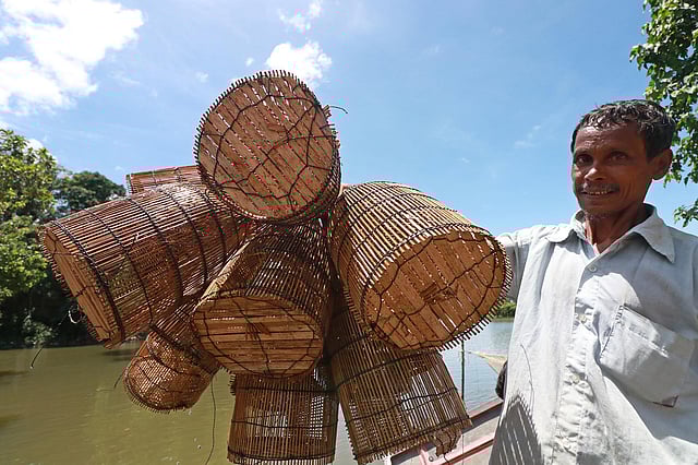 কুই বিক্রি করতে এসেছেন