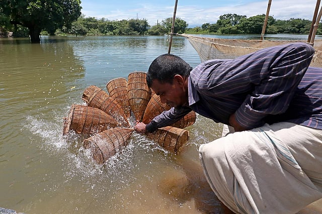 পানিতে ভিজিয়ে নেওয়া হচ্ছে