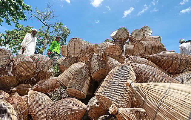 বাজারে স্তূপ করে রাখা হয়েছে কুই