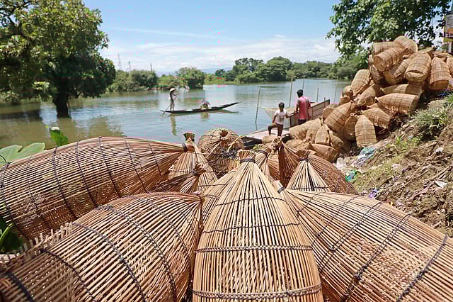 নৌকায় করে এনে ঘাটে রেখেছেন কুই