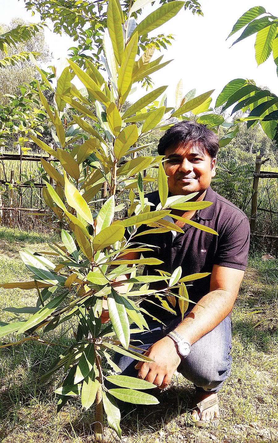 নিজের বাগানে সুন্দরীগাছের সামনে মাহবুব ইসলাম। সম্প্রতি সিরাজগঞ্জের কামারখন্দে বাজারভদ্রঘাট শেখপাড়া গ্রামে। প্রথম আলো