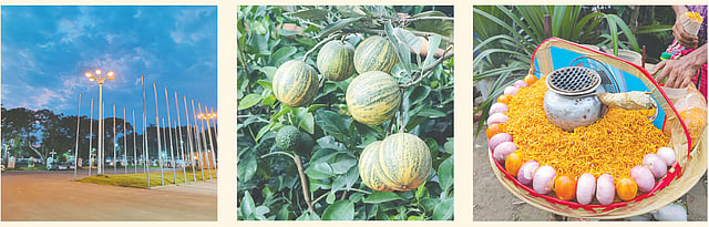 অপো রেনো ১০এক্স জুম স্মার্টফোনে তোলা ছবি