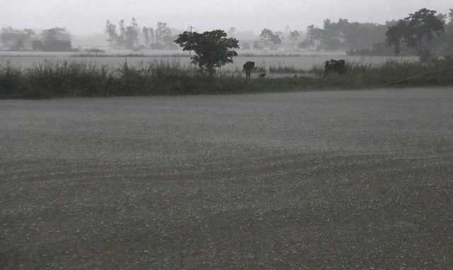বৃষ্টিতে হাওরে ভরা পানি।