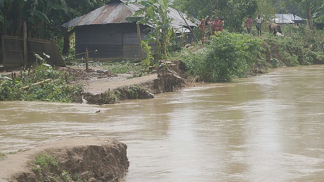 কমলগঞ্জের রামপাশা গ্রামে ধলাই প্রতিরক্ষা বাঁধের ভাঙন এলাকা দিয়ে পানি ঢুকছে। ছবি: প্রথম আলো