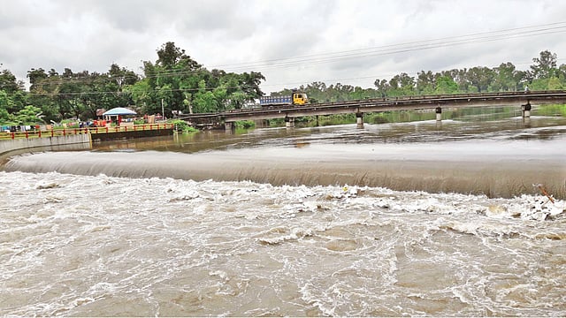 পঞ্চগড়ের তালমা রাবার ড্যাম ফুটো হয়ে পানি ঢুকেছে। এতে উজান এলাকা প্লাবিত হয়েছে। গতকাল বিকেলে ড্যাম এলাকায়।  প্রথম আলো