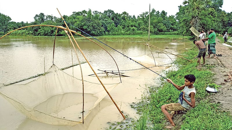 একটু বৃষ্টিতেই গাজীপুরের মিটালু গ্রামে শুরু হয়েছে মাছ ধরার উৎসব। ছবি: প্রথম আলো