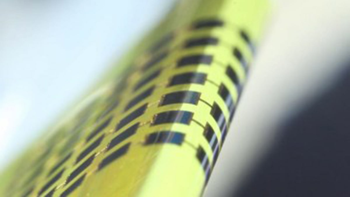 নমনীয় চিপ