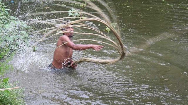 শেষবারের মতো ধোয়া হচ্ছে পাট