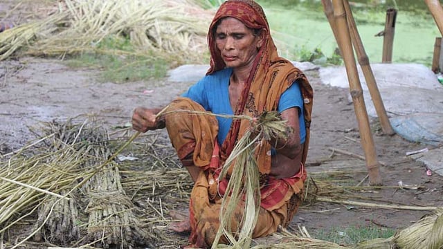 আঁশ ও পাটকাঠি যত্নসহকারে ছড়ানো হচ্ছে