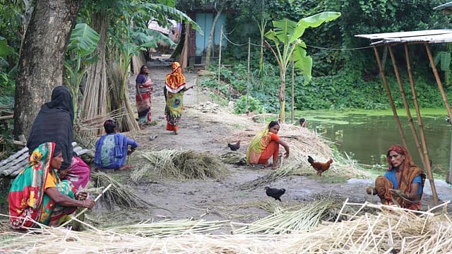 প্রক্রিয়াজাত করা হচ্ছে পাট