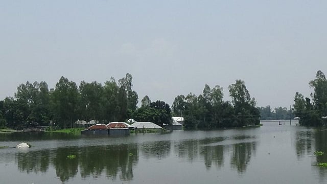 সিরাজগঞ্জে বন্যায় ডুবে গেছে বাঐতারা গ্রাম। গতকাল বুধবার দুপুরে তোলা। ছবি: প্রথম আলো